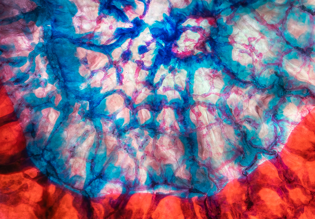 Alchemy of Life