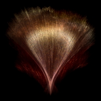 Photonics