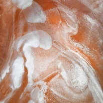 Rust Salt Lake