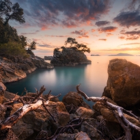 The Value of Kindness 