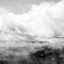 Nebel