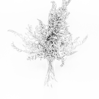 Still life, stool and 30 seconds  