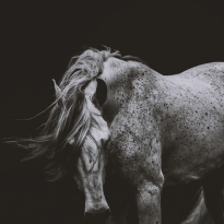 Calm after the storm