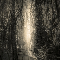 Elsewhere