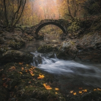 Lord of the Wasteland