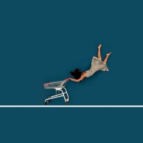 Shopping Cart-astrophe