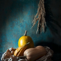 Still life chiaroscuro
