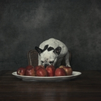 Please...tell me your secret