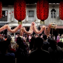 Many faces of the dragons and lions