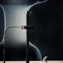 Slow life in the city