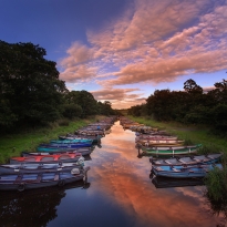 The Colors of Ireland