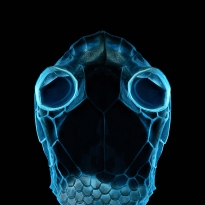 Portrait of an alien