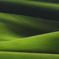 Landscape blending