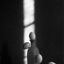 Still Life. 