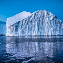 The Arctic's Essence