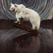 Ursa