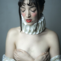 White rabbit